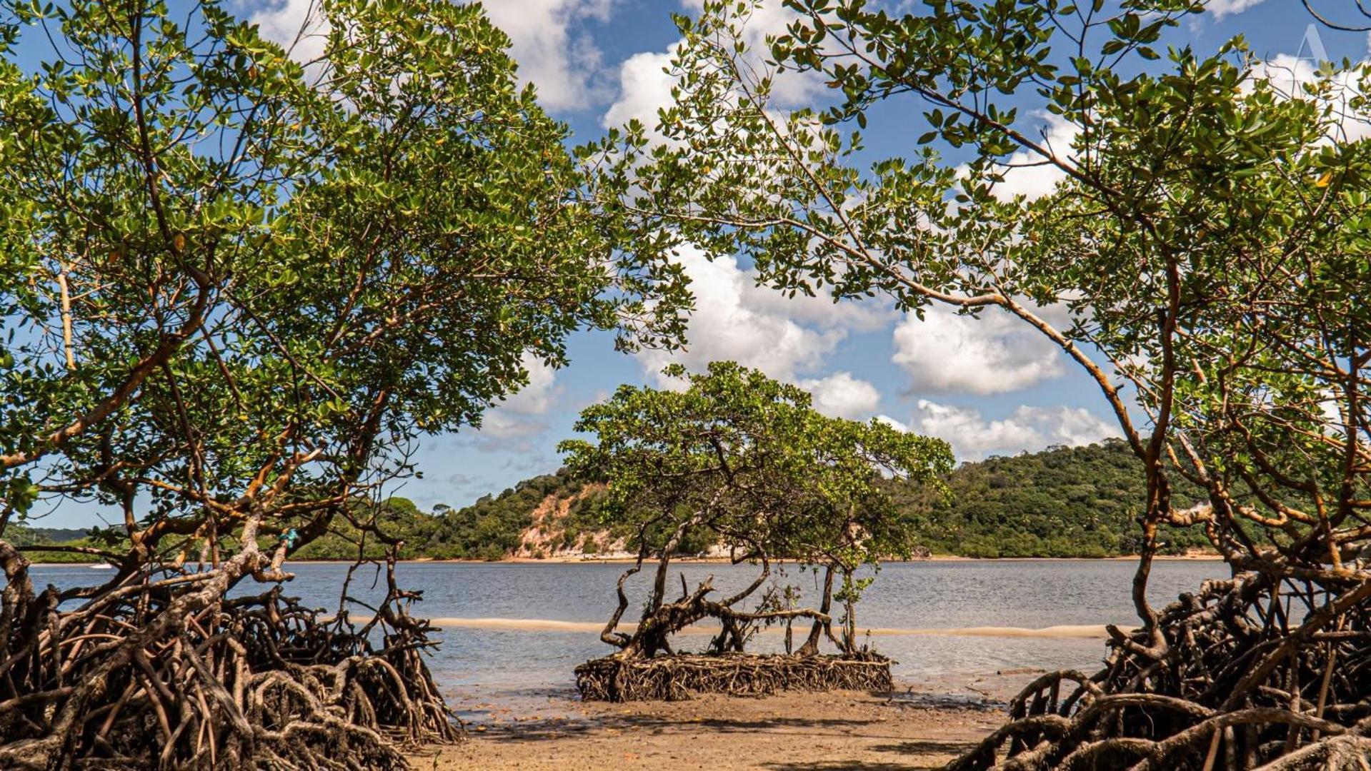 Hotel Pousada Recanto Sol Nascente, Luxo E Proximidade Com A Natureza Rio Formoso Esterno foto